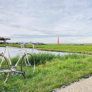 Halfords Den Helder image 2