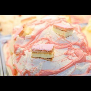 Texelse IJsboerderij Labora image 3