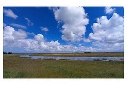 Bestrijding watercrassula in natuurgebied Dorpzicht op Texel