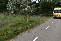 Duitse automobilist rijdt weiland in op Texel