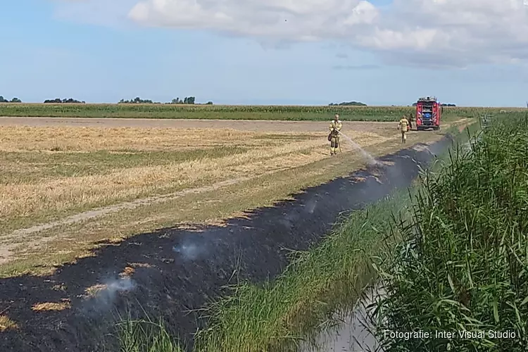 Buitenbrand in weiland in De Cocksdorp