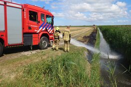 Buitenbrand in weiland in De Cocksdorp