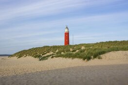 Drie tips om de magische natuur van het eiland Texel te ontdekken