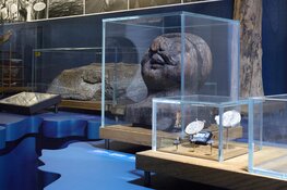 Naar de musea in de herfstvakantie