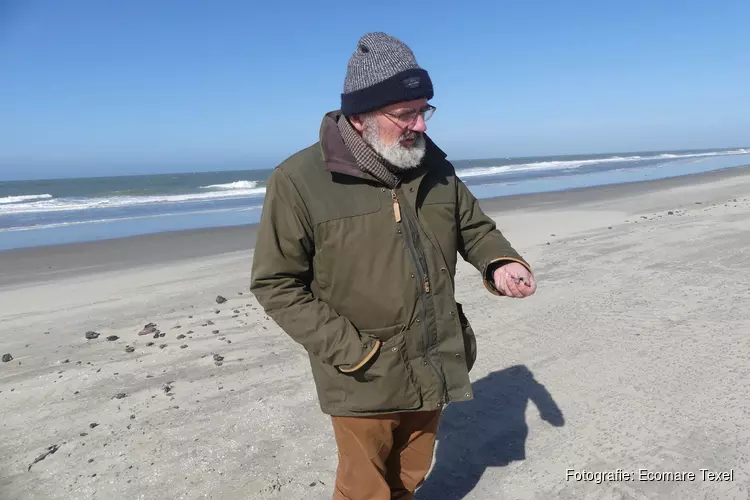 Cursus strandvondsten bij Ecomare