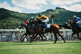 De verschillen tussen online casino en gokken op sport