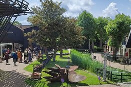 Vrijwilligerswerk bij Stichting Texels Museum