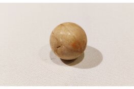 Archeologische vondsten onder vloer Oudheidkamer