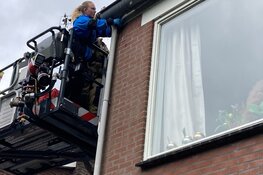 Verstrikt in de dakgoot