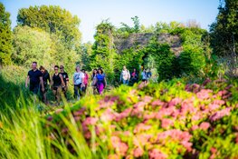 Zomerse 20e Pink Ribbon Dam tot Dam Wandeltocht gezellig en geslaagd