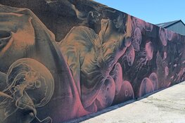 Gratis workshop street art voor Texelse jongeren bij Museum Kaap Skil