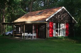 Nachtje(s) weg in de herfstvakantie: in deze  Noord-Hollandse gemeenten vind je de meeste (en oudste) accommodaties