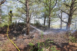 Natuurbrand op Texel, brandweer groots ingezet