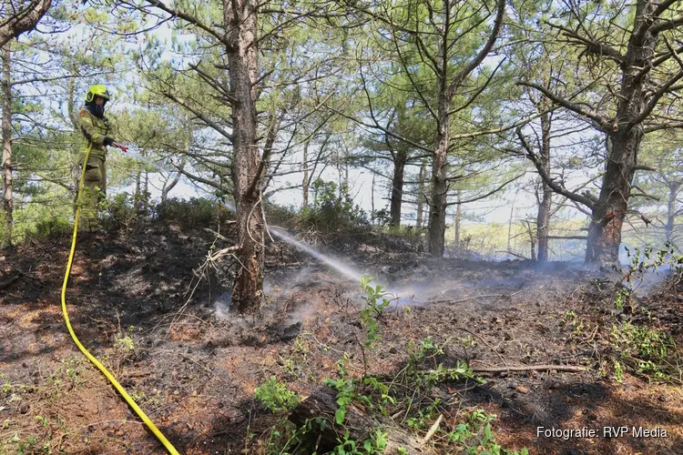 Natuurbrand op Texel, brandweer groots ingezet