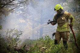 Natuurbrand op Texel, brandweer groots ingezet