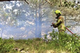 Natuurbrand op Texel, brandweer groots ingezet