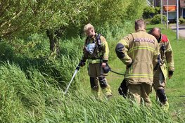 Brand in bosschages in Oudeschild geblust door buurtbewoners met gieters en emmers