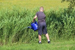 Brand in bosschages in Oudeschild geblust door buurtbewoners met gieters en emmers