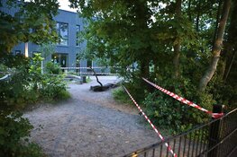 Staalslakken op terrein De Skool op Texel. Deel schoolplein afgezet