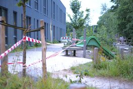 Staalslakken op terrein De Skool op Texel. Deel schoolplein afgezet