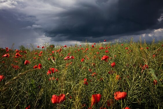 Warm weekend met kans op onweer, daarna wisselvallige zomerweek voor de boeg