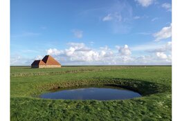 GEZOCHT: Texelse grondeigenaren voor herstel uniek eilandlandschap