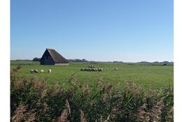 GEZOCHT: Texelse grondeigenaren voor herstel uniek eilandlandschap