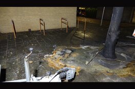 Haven Oudeschild ondergelopen door hoog water, dienstregeling Teso tijdelijk gestremd