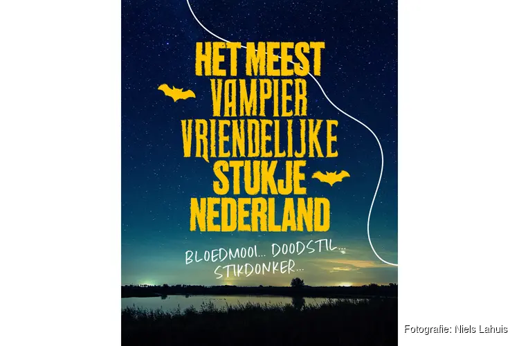 Waddengebied zet in op belang van donkerte door vampieren aan te trekken