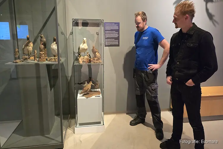 Collectie Kaczor te zien bij Ecomare