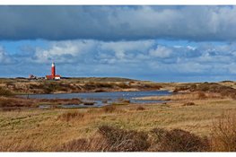 Lezingenserie 'De vier elementen' bij Ecomare