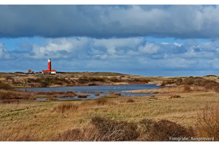 Lezingenserie 'De vier elementen' bij Ecomare
