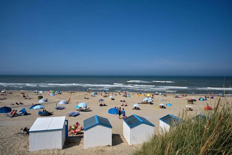 Top 3 populairste vakantieparken op Texel