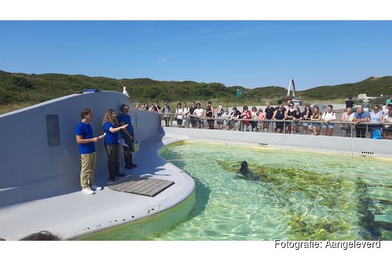 Ecomare in jeugdserie 'Rachel en Elbert passen op'