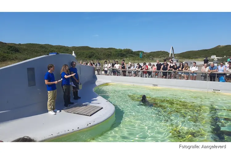 Ecomare in jeugdserie 'Rachel en Elbert passen op'