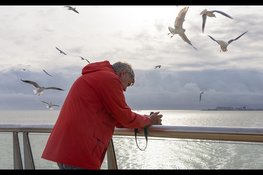 Mardik Leopold vertelt bij Ecomare over meeuwenonderzoek