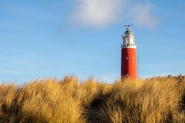 Dit kan je allemaal doen op Texel