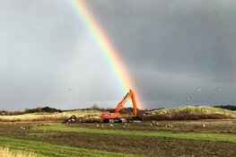 Laatste fase werkzaamheden in natuurgebied Hanenplas op Texel
