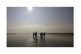 Wandeling met boswachter over De Schorren - Texel
