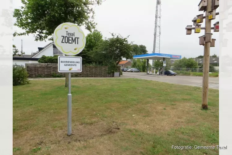 Texel uitgeroepen tot bij-vriendelijke gemeente