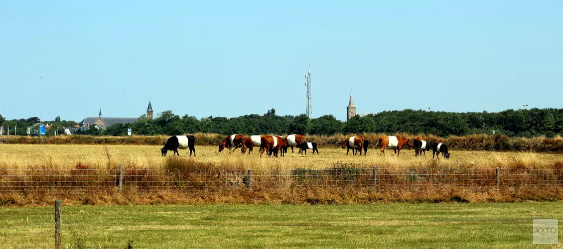 Landbouwdag Texel in verband met hitte afgelast