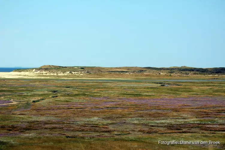 Rookverbod natuurgebieden Texel met maand verlengd