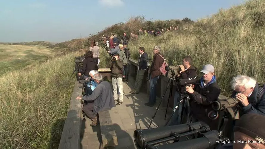 Komend weekend Dutch Birding-vogelweekend