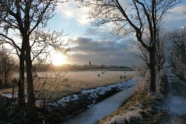 Vuurwerkvrije jaarwisseling op Texel
