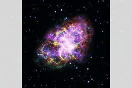 Langste Nacht Diner met Govert Schilling bij Ecomare