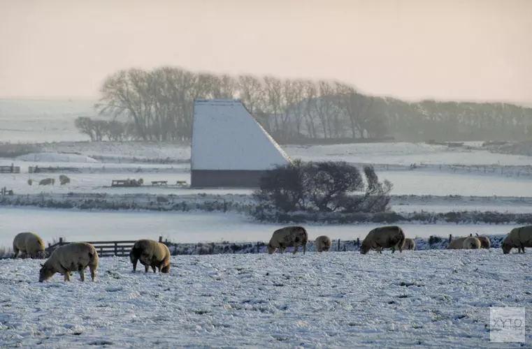 Cursus Texel voor Beginners 2019