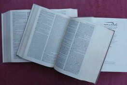 Blokkeerfries is het woord van jaar!