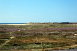 Het beste van Texel 2018