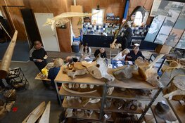 De walvisbotten collectie van Ecomare