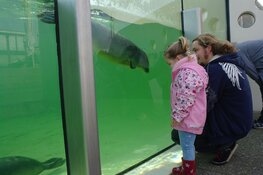 Voorjaarvakantie bij de musea